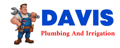 Trusted plumber in CHENOA